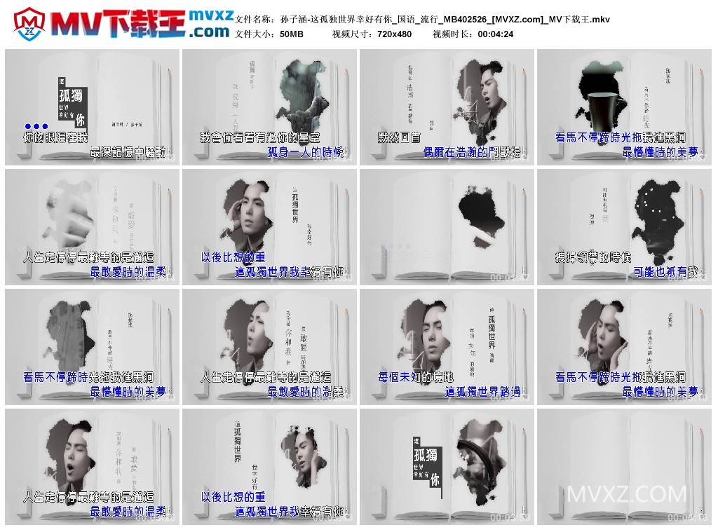 孙子涵-这孤独世界幸好有你_国语_流行_MB402526